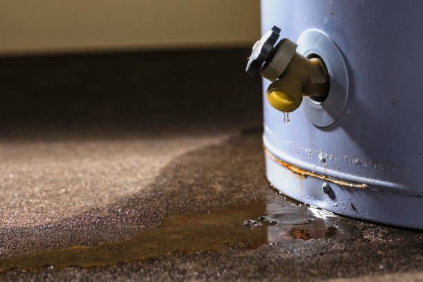 Best Local water damage restoration  in Walnut Creek, CA