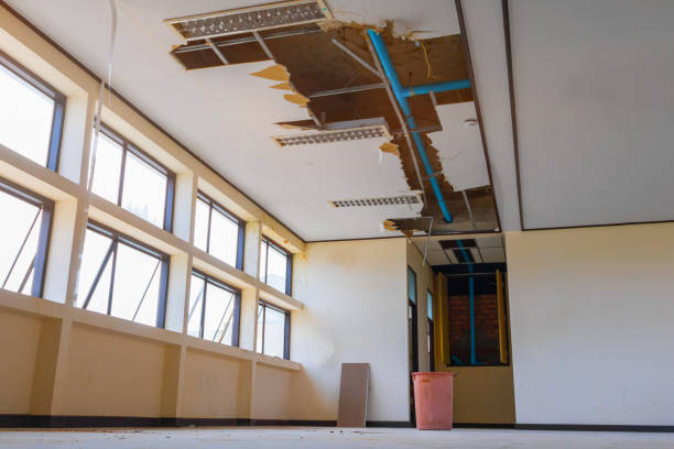 Best Water damage contractors near me  in Walnut Creek, CA