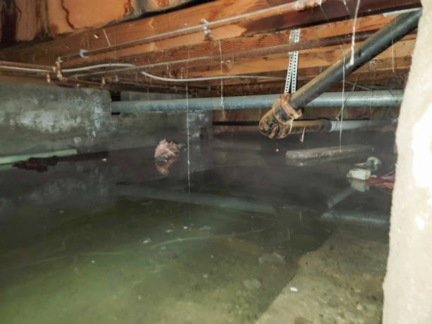 Local water damage restoration in Walnut Creek, CA