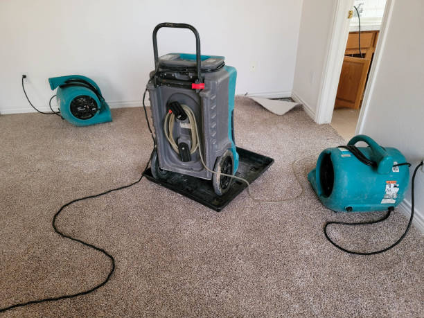 Best Ceiling water damage repair  in Walnut Creek, CA