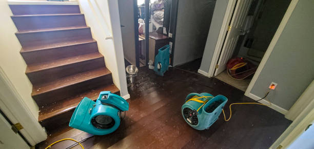 Best Water damage cleanup near me  in Walnut Creek, CA