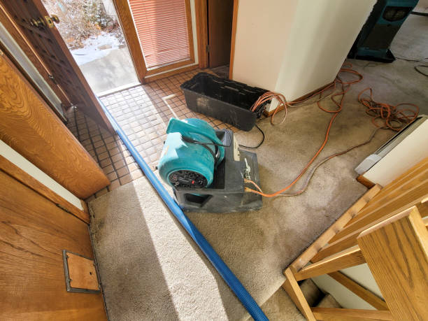 Best Mold removal after water damage  in Walnut Creek, CA