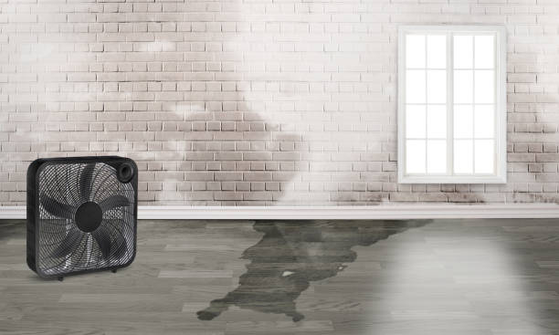 Water damage restoration mold remediation in Walnut Creek, CA