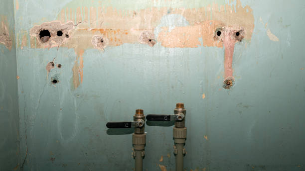 Best Carpet water damage restoration  in Walnut Creek, CA