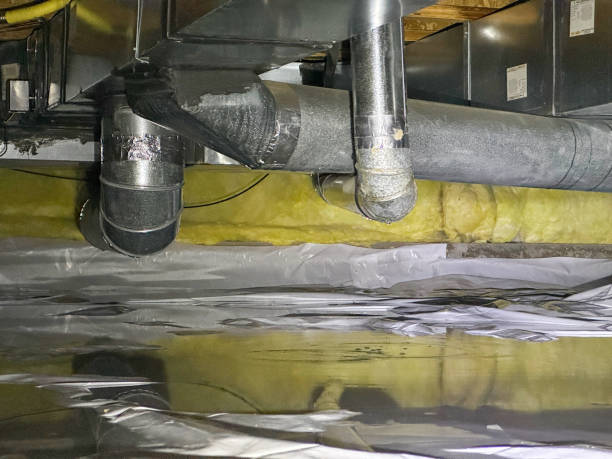 Best Professional water damage repair  in Walnut Creek, CA