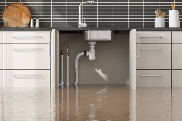 Best Water damage restoration specialists  in Walnut Creek, CA