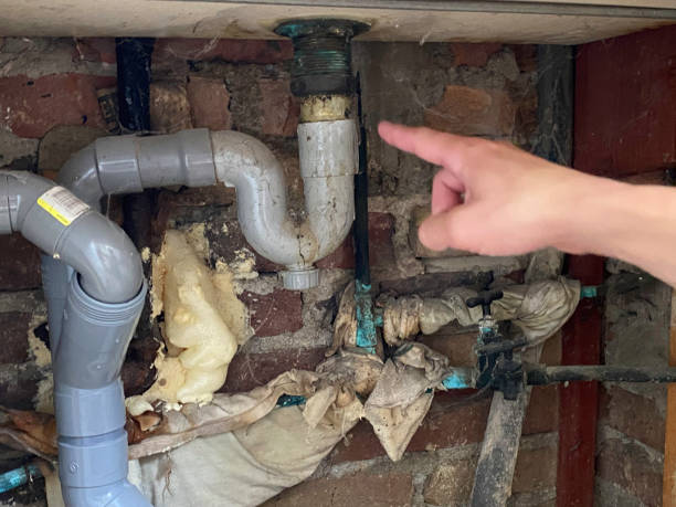 Best 24/7 water damage repair  in Walnut Creek, CA